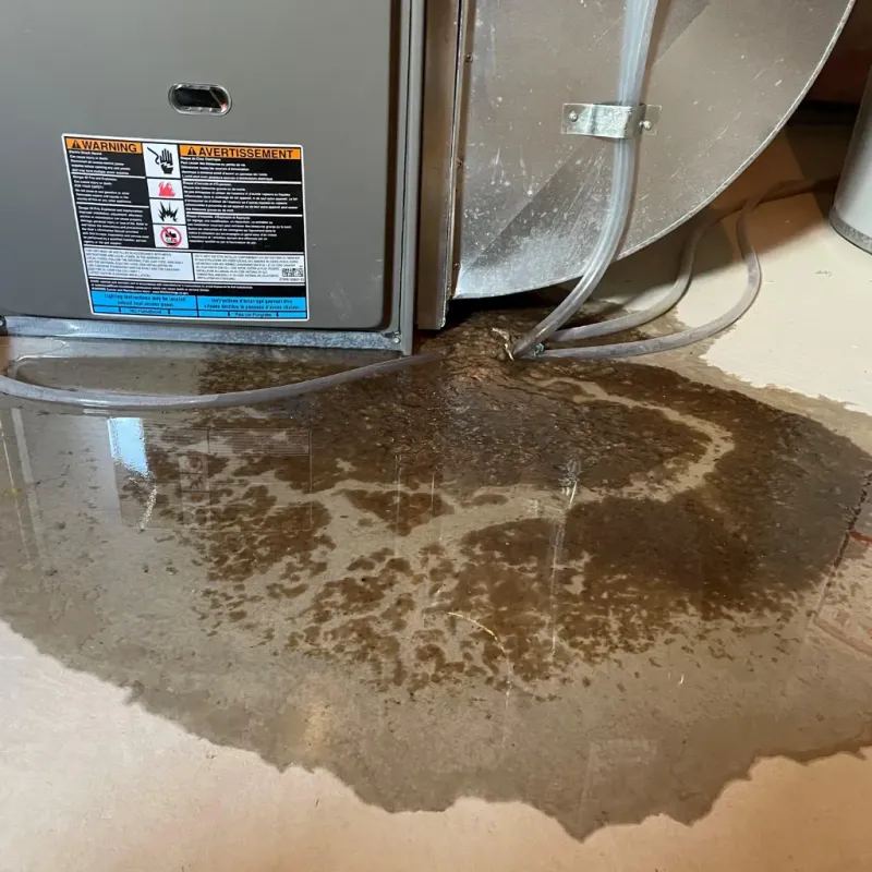 Appliance Leak Cleanup in Beechwood, MS